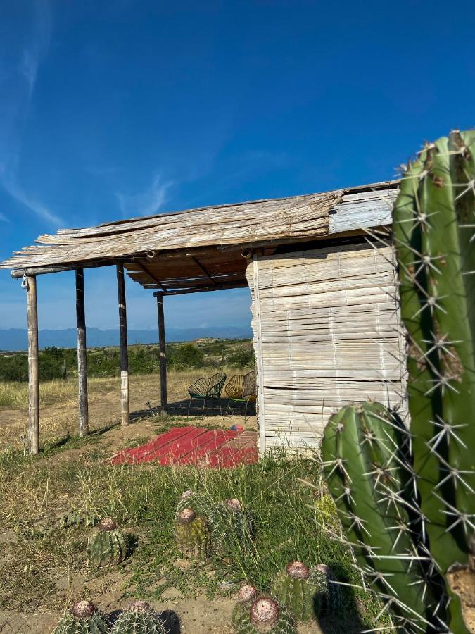 Biohotel Tatacoa Qji 2* Villavieja